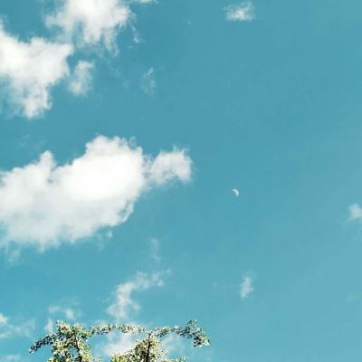 b体育在线登陆素描版截图